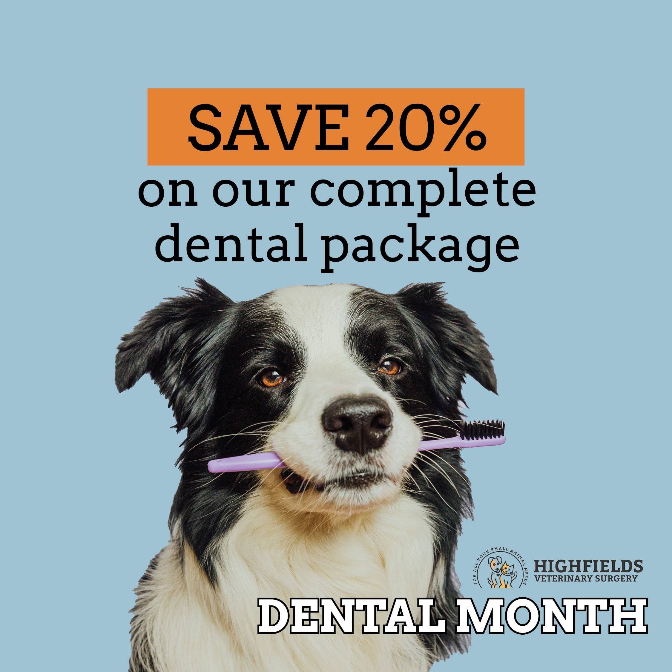 Dental Month 2024 Dental Month 2024